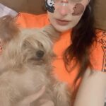 Yuvika Chaudhary Instagram - #animal lover #lover #love #life #travel #world #beauty #place #fun #insta #instagood #instadaily #instagram #mumbai #india