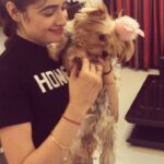 Yuvika Chaudhary Instagram –