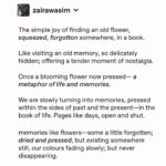 Zaira Wasim Instagram – The simple joy of finding an old flower,  squeezed, forgotton somewhere, in a book. 

Like visiting an old memory, so delicately hidden; offering a tender moment of nostalgia. 

Once a blooming flower now pressed— a metaphor of life and memories. 

We are slowly turning into memories, pressed within the sides of past and the present—in the book of life. Pages like days, open and shut. 

Memories like flowers—some a little forgotten; dried and pressed, but existing somewhere still, our colours fading slowly; but never disappearing. 

-zaira