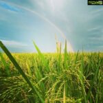 Aadhi Pinisetty Instagram - Heaven is under our feet as well as over our heads !! #rainbow #nature #chennai Changalpattu, Kanchipuram District