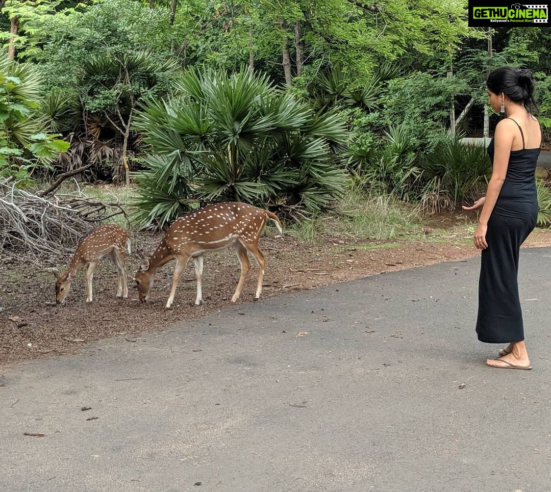 Aditi Balan - 27.7K Likes - Most Liked Instagram Photos