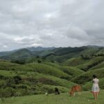 Aditi Balan Instagram – Okay , this place is Vagamon.