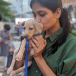 Aditi Balan Instagram - When we can adopt one of our own , why go look outside to buy one. Also , our own Indian dogs are much easier to take care of than bringing a poor huskie or any other breed to our city which later then just suffers in the heat. :/ PS : Thank you to all those who attended the dog show on Independence day. Also , to all those who heard me up on stage , I know I said some random stuff up there . It's purely cos of spacing out in between all of those wonderful Indian dogs walking the ramp . :p Forgive me. #TGIDS2019 @blue_cross_rescues