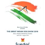 Aditi Balan Instagram - For the love of dogs :) something exciting happening this time. Be there. #TGIDS2019 #bluecrossdiaries @blue_cross_rescues