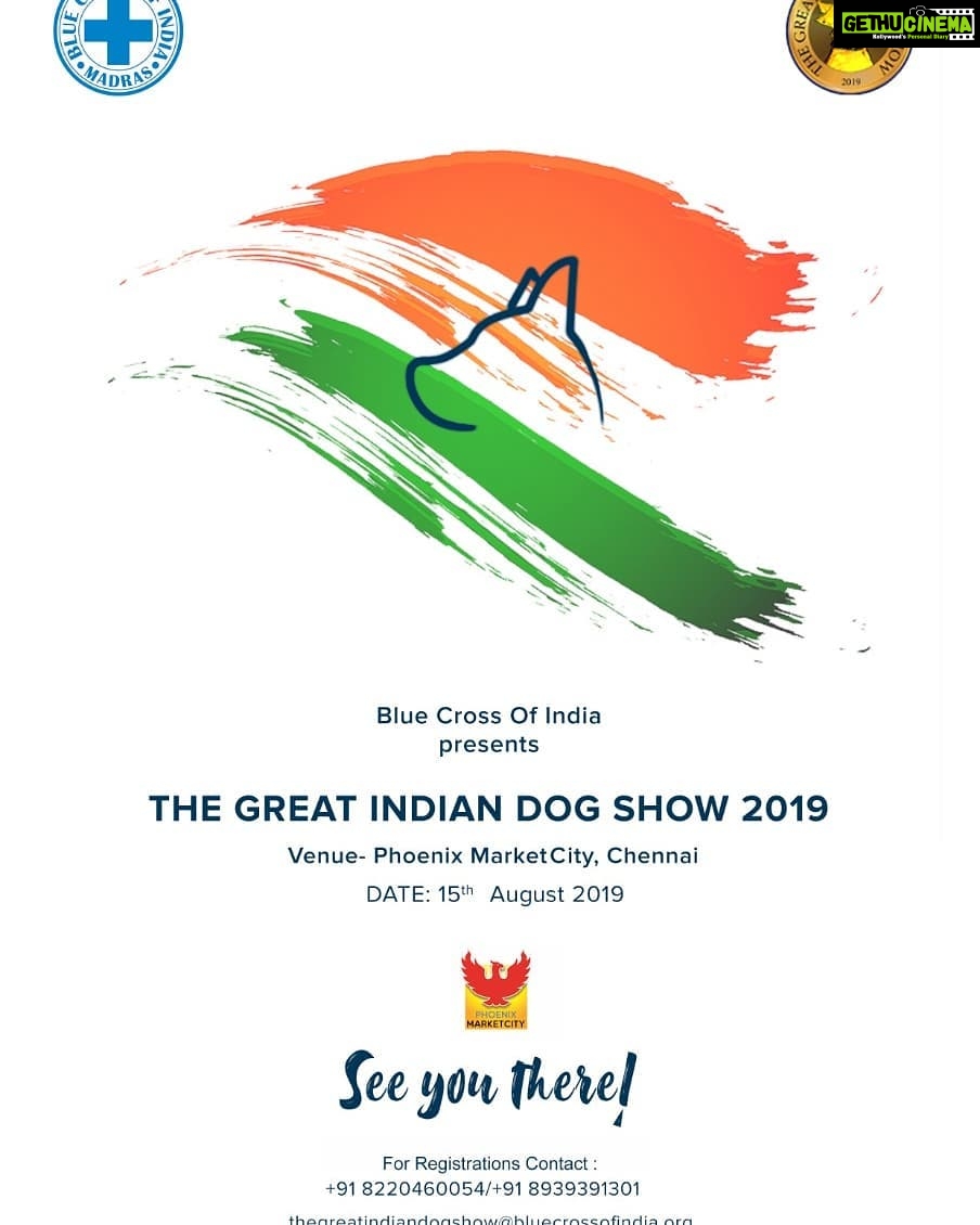 Aditi Balan Instagram - For the love of dogs :) something exciting happening this time. Be there. #TGIDS2019 #bluecrossdiaries @blue_cross_rescues
