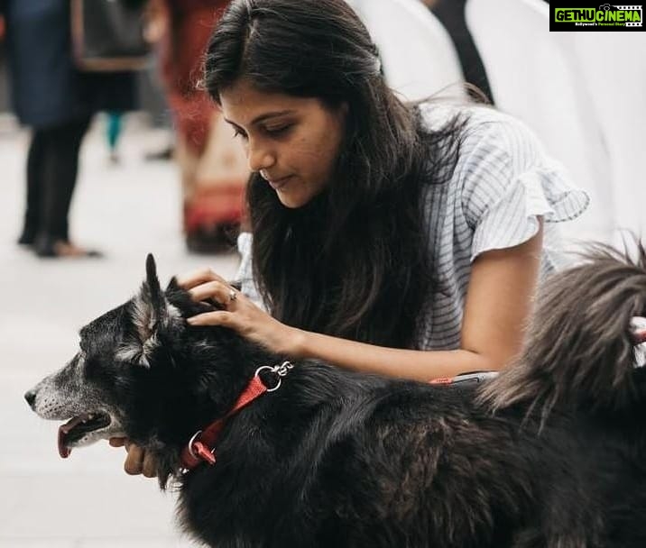 Aditi Balan Instagram - For the love of animals. For the love of our own Indian dogs. Thank you so much @blue_cross_rescues for this amazing work. Also , thank you for making me meet my favourite Amala ma'am. :) #TGIDS2018 #indiandogsarethebest #animallover #bluecrossofindia