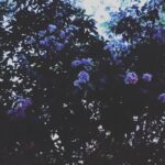 Aditi Balan Instagram -
