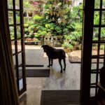 Aditi Balan Instagram - Cochin. May 2018. Didn't want to leave this cutie.