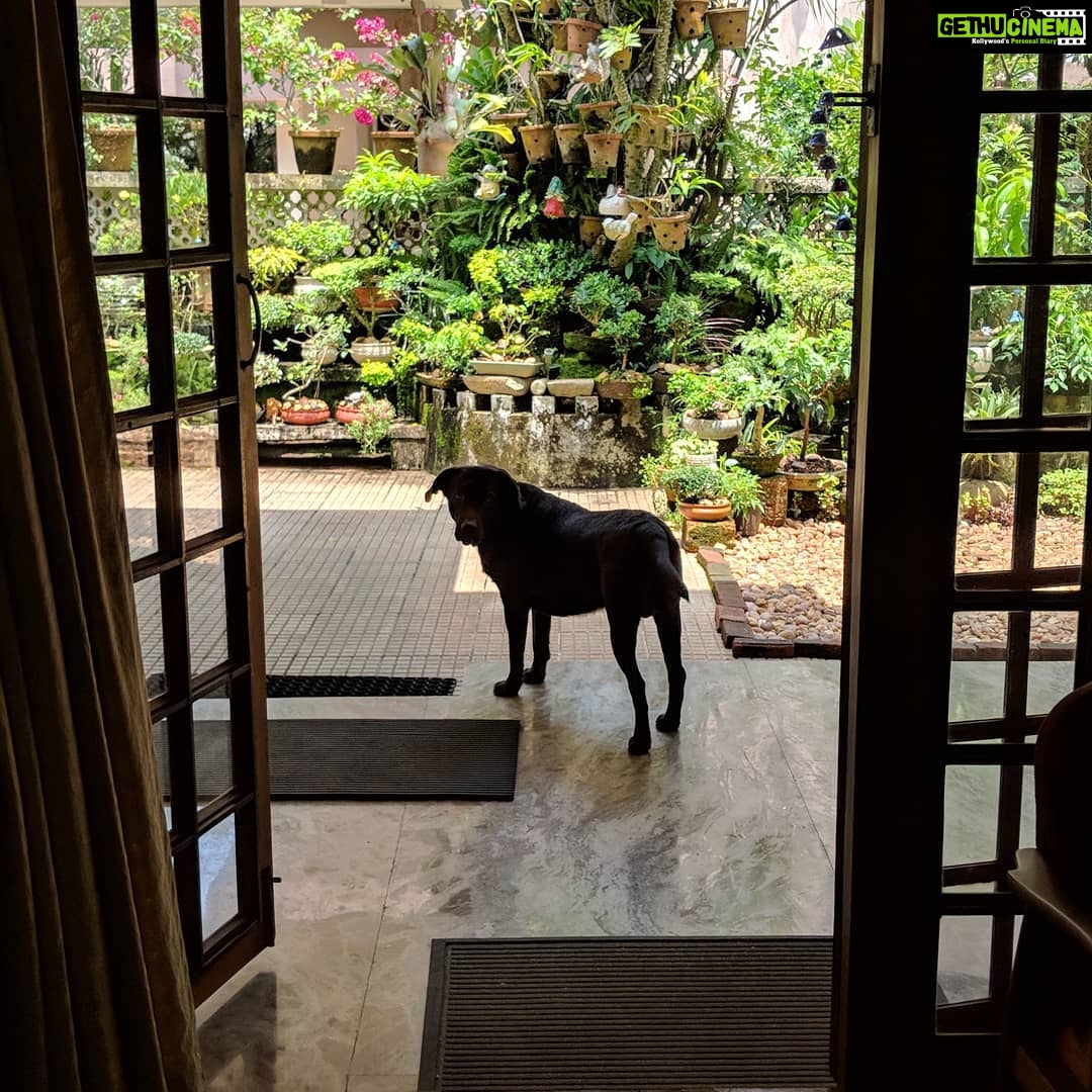 Aditi Balan Instagram - Cochin. May 2018. Didn't want to leave this cutie.