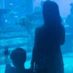 Aishwarya Rajesh Instagram - Unforgettable experience with Aryan at the Underwater World @aquaventuredubai @atlantisthepalm 🤩🐠 felt like a kid myself! @celebrate_dubai @pickyourtrail @visit.dubai #MyDSF #Worlds_coolest_winter #DifferentInWater #DubaiDestinations #UnwrapTheWorld #LetsPYT #pickyourtrail