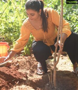 Aishwarya Rajesh Instagram - I've accepted #HaraHaiTohBharaHai #GreenindiaChallenge 
From @iamsushanth Planted 3 saplings. Further I am nominating all my fans n tag mee to retweet
to plant 3 trees & continue the chain. special thanks to @MPsantoshtrs for taking this intiate.
