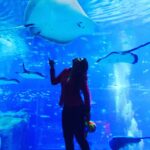 Aishwarya Rajesh Instagram - Underwater beauty #sentosasingapore ❤️❤️ #Throwbak