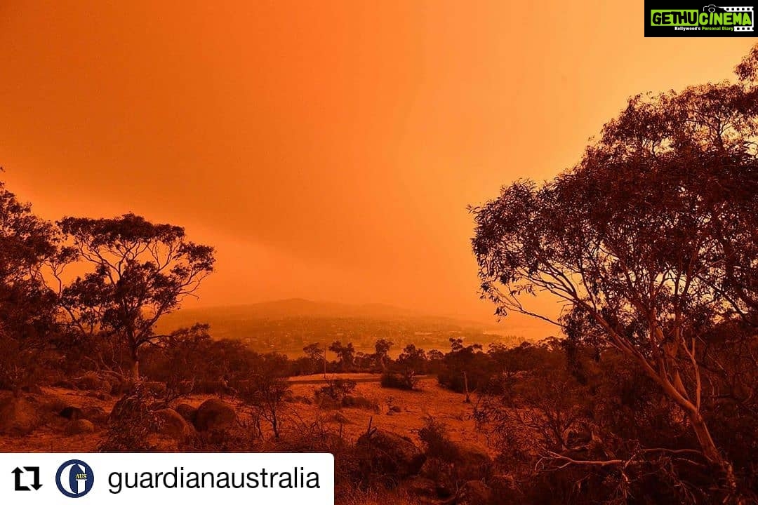 Amala Akkineni Instagram - After 7 yrs of drought Australia has been hit by horrific fires due to peak summer and dry conditions. Millions of hectares of forests have burned, thousands of people have lost their homes, and rescue workers are working overtime. Over 480 million animals have perished in these fires and things and conditions are not looking great for those that have survived because of dearth of food and water; pushing some to a brink of extinction. Fires had reached as far as Kangaroo Island. Terrible terrible tragedy. π’π° Praying for Australia and that the rains come soon to save them π. Hope the world rethinks their policy on climate change. #Repost @guardianaustralia β’ β’ β’ β’ β’ β’ #BREAKING: There are currently 13 emergency #fire warnings in Victoria and 11 emergency warnings in NSW The NSW premier Gladys Berejiklian says today is as bad as the projections suggested. βIn relation to the projections we had this morning, unfortunately they are coming to fruition." NSW RFS says there are two fire-generated thunderstorms, one in Nowra and one also forming over the Doubtful Gap Trail in the Snowy Monaro area. The temperature in Penrith hit a staggering record of 48.9C as heatwave is smothering NSW.