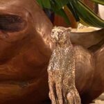 Amala Akkineni Instagram - Spent a delightful evening with friends listening to Princess Micheal of Kent speak about Cheetah conservation. Not much space left on the planet for other species to thrive sadly 🙏🏼 Strength and courage to conservation efforts. With @andrew007uk Dr Raghuram of Ushalakshmi Breast Cancer Foundation and Dr Vaijanthi