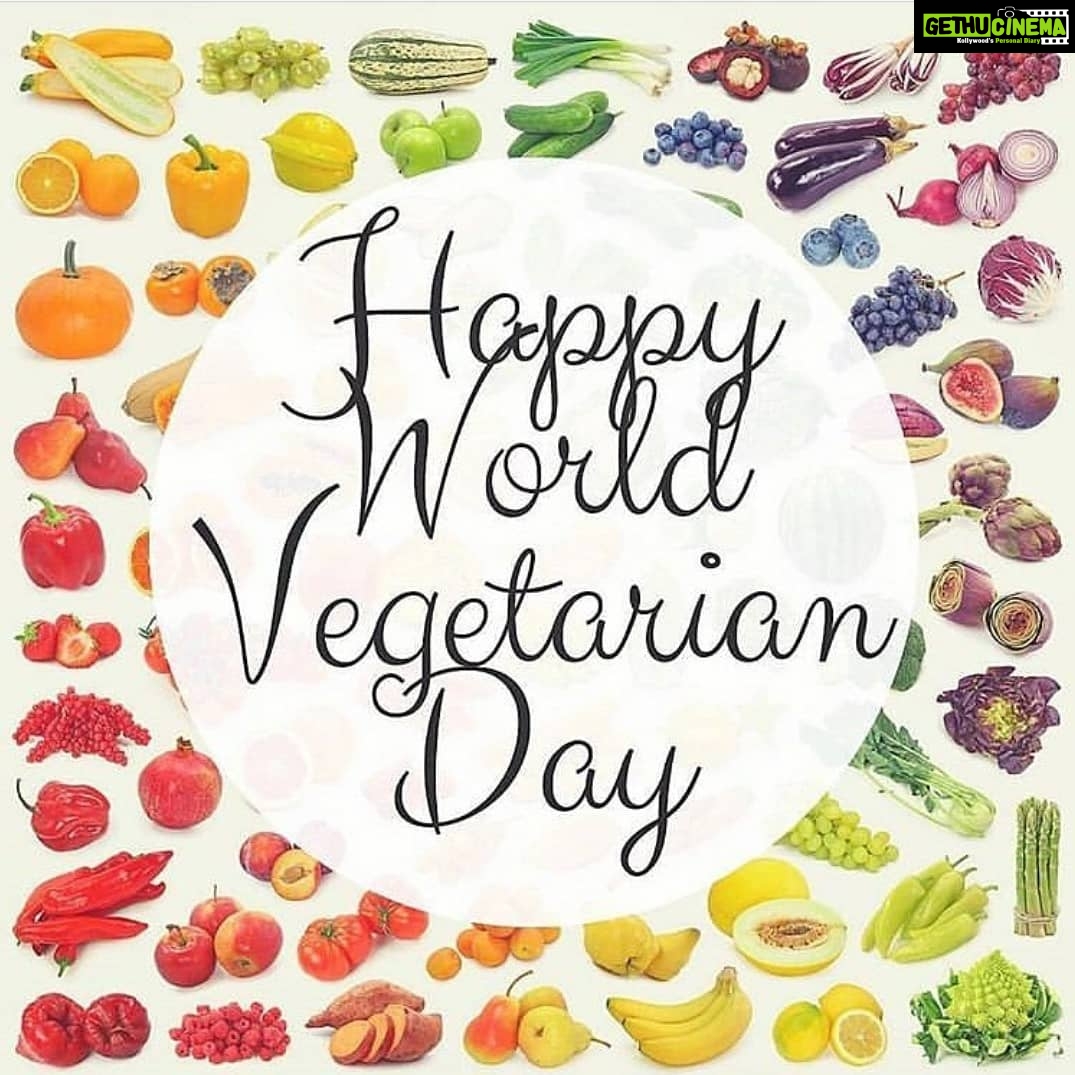 Amala Akkineni Instagram - While we love animals, we sometimes forget about the ones who are bred solely for our consumption of their body and secretions. Their suffering might not be visible to us, but it is very much real. I urge all those who respect animals to look deeper into their nutrition and give veganism a try. #worldvegetarianday