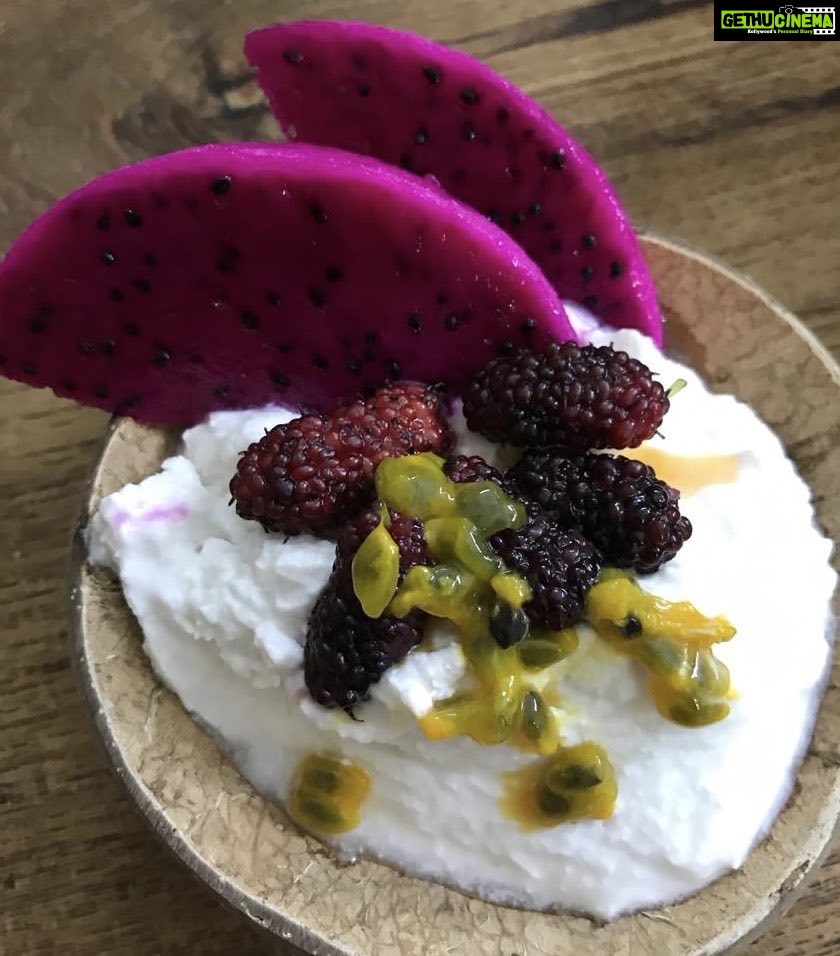 Amala Akkineni Instagram - Enjoyed a delicious healthy organic vegan treat for Saturday night 🥰 thank you Sridevi Jasti @ Vibrant Living Foods