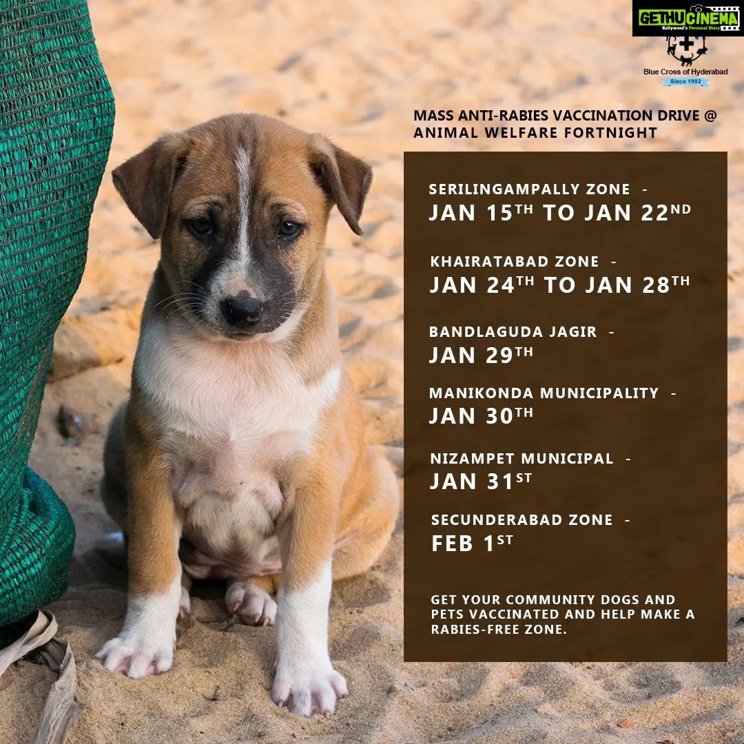 Amala Akkineni Instagram - Kudos to the Blue Cross of Hyderabad team for vaccinating hundreds of dogs against rabies. Check the locations and do support us to vaccinate all your local dogs - Together let’s make Hyderabad Rabies Free! @bluecrosshyd