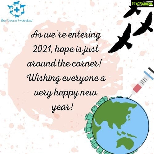 Amala Akkineni Instagram - Wishing everyone a happy and healthy 2021!