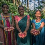 Amala Akkineni Instagram - Coffee grown in Araku valley is sold in Paris at ₹11,000 a kg and has helped thousands of adivasis become Lakhpatis. They make ₹2-3 lakhs net profit per family! The management at Araku coffee also planted 2 crore trees of 19 species there. Each of these are gifted as orchards for these adivasis. Soon Araku region will be a place for global fame due to how it created bio diverse functional forest to end poverty! They have recently started online sales in India. Only available at www.arakucoffee.in