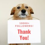 Amala Akkineni Instagram - Thank you for the love!