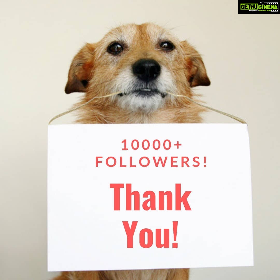Amala Akkineni Instagram - Thank you for the love!