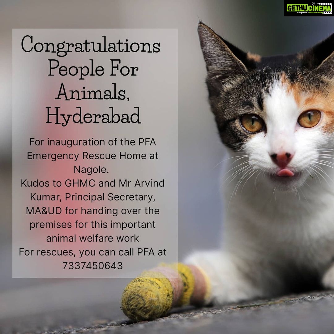 Amala Akkineni Instagram - Congratulations @pfahyderabad and @ghmconline. At the inauguration, Mr Arvind Kumar, Principal Secretary, MA&UD said he was confident that handing over GHMC shelters to animal welfare groups will ensure that the facilities are well maintained for this important work.