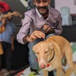 Amala Akkineni Instagram - The Great Indian Dog Show is the most heart warming display of love between human and animal. The stories of how people rescued indie dogs from abuse and abandonment, moving them from the streets into their homes, shows humanity in a very compassionate light . Evenings like these feed my soul 🥰. Well done Blue Cross of India! @blue_cross_rescues #tgids2019