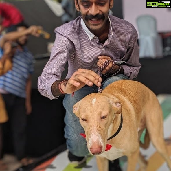 Amala Akkineni Instagram - The Great Indian Dog Show is the most heart warming display of love between human and animal. The stories of how people rescued indie dogs from abuse and abandonment, moving them from the streets into their homes, shows humanity in a very compassionate light . Evenings like these feed my soul 🥰. Well done Blue Cross of India! @blue_cross_rescues #tgids2019