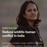 Amala Akkineni Instagram - Studies show that one tiger conserves and protects 250 Cr ₹ of natural reserves critical of human survival. Support wildlife conservation - see what you can do to make it happen 👆🏽 https://www.rolex.org/rolex-awards/finalists/krithi-karanth