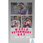 Amala Akkineni Instagram - Truly appreciate our dedicated team of veterinarians at Blue Cross of Hyderabad. Thank you for taking care of the animals. Happy World Veterinary Day! @bluecrosshyd