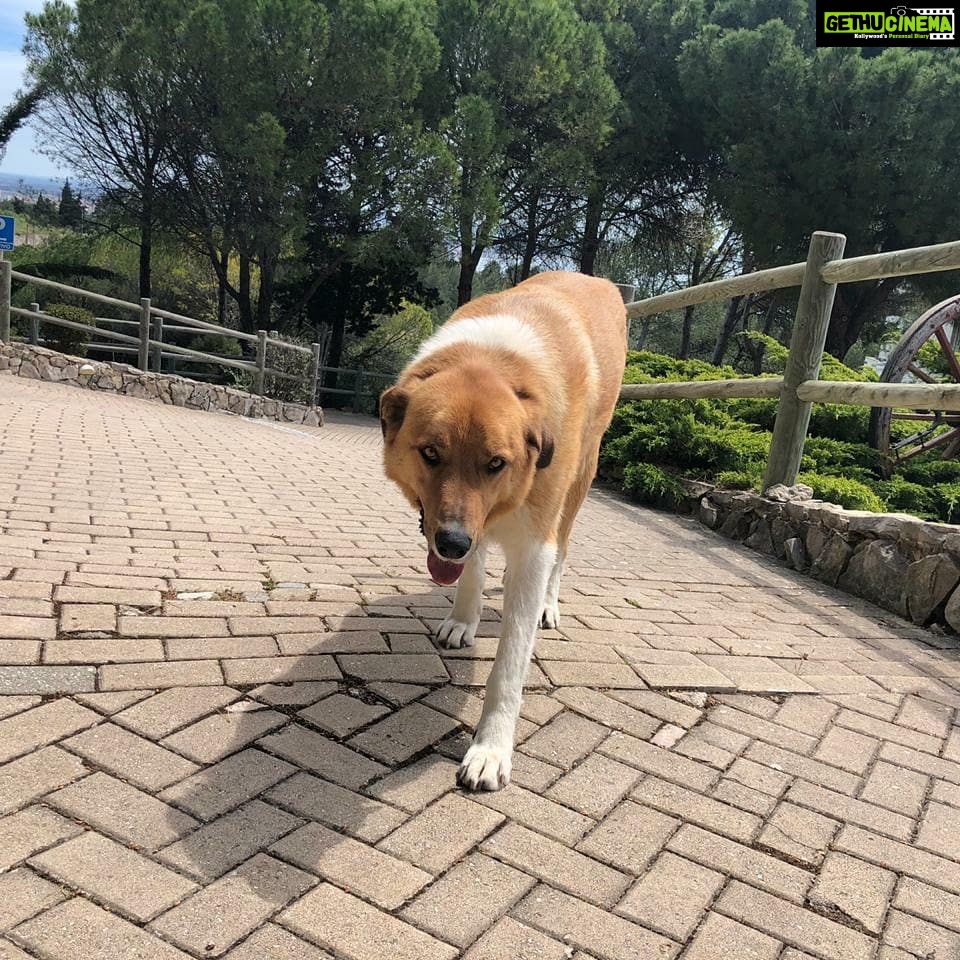 Amala Akkineni Instagram - Enjoying Setubal, Portugal #Portugal #Holiday