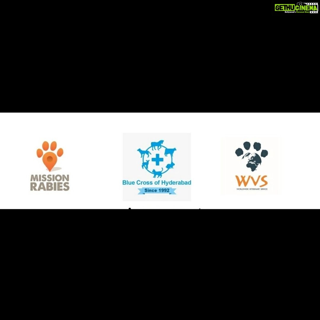 Amala Akkineni Instagram - Worldwide Veterinary Service - Mission Rabies project was launched in 2013 with the Mission Rabies Truck travelling around India, inspiring veterinarians in the localities to learn high quality animal birth control surgeries to control the free-roaming dog population. India Project for Animals and Nature (IPAN), a registered charity based in the Nilgiris, Tamil Nadu, collaborates with Blue Cross of Hyderabad, Telangana to train local veterinarians as well as general public about rabies control and humane dog population management. Training Program is scheduled to start from 9th to 21st August and 23rd to 27th August followed by Rally “Join us on 28th August 2021 to spread awareness and make the mission to prevent Rabies Successful!” The flagship of this collaboration is the Mission Rabies Truck, a highly equipped and customized Mercedes Zetros 6x6 vehicle is in the city to lead this project. It is a high-tech, all-terrain, self-sufficient mobile veterinary hospital vehicle and will be staffed by Indian led teams of vets and paravets. @wvscharity @bluecrosshyd