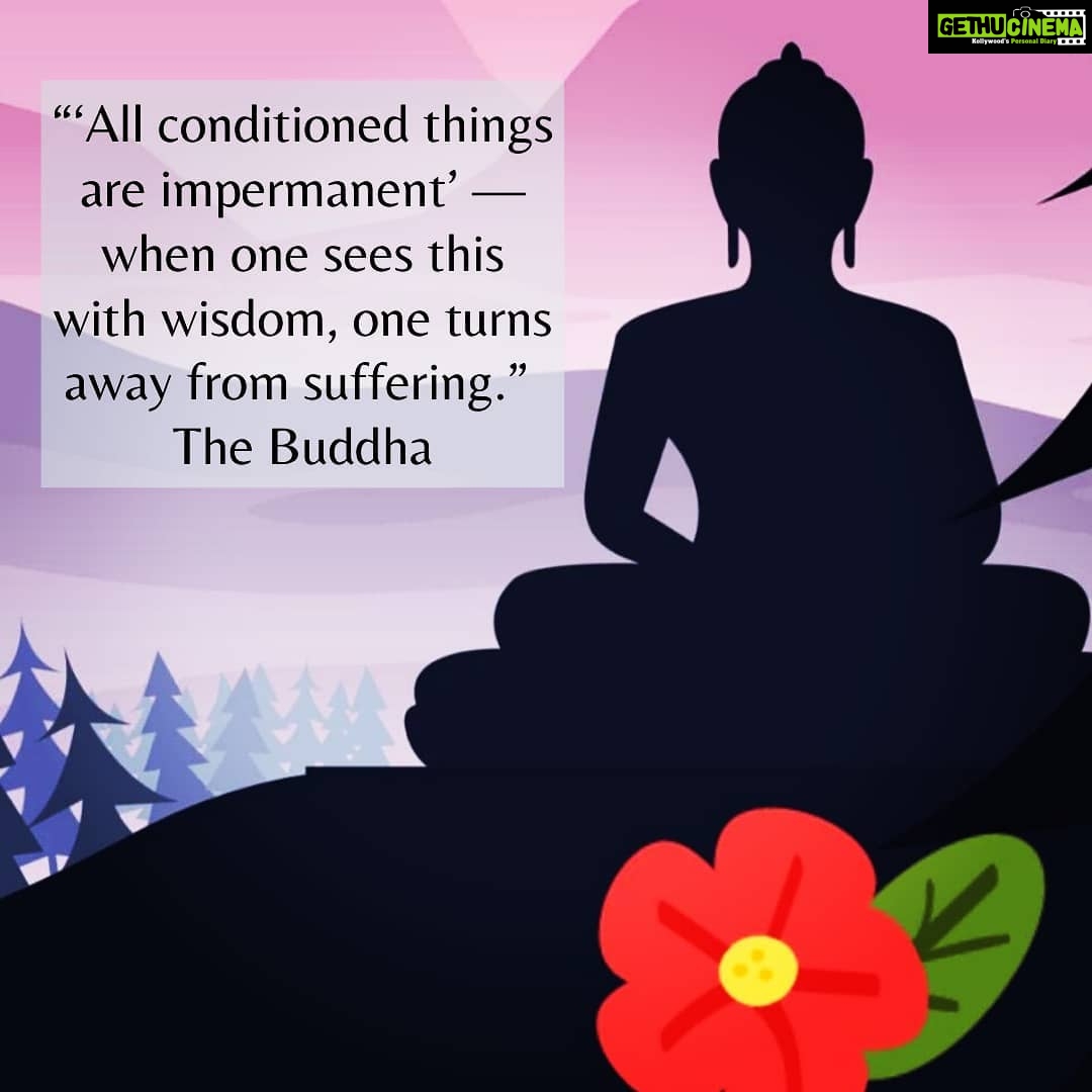 Amala Akkineni Instagram - A wonderful meditation for today on impermanence 🙏🏼 #buddhapurnima #wesak