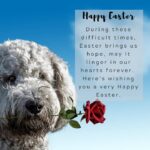 Amala Akkineni Instagram - Wishing everyone an Easter full of hope!