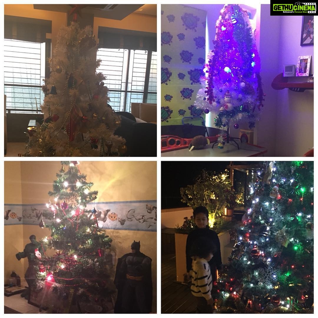 Amrita Arora Instagram - House full of xmas cheer❤️❤️