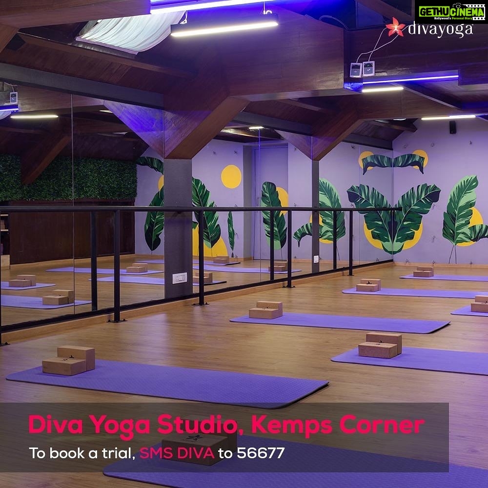 Amrita Arora Instagram - Yoga is my sacred space. Whenever I need one hour to myself, I walk into @thedivayoga and dedicate that hour to just myself. If you're someone who also needs that one hour, walk into a Diva Yoga Studio near you and try a complimentary experience class. You'll know what I'm speaking about. Swipe right to see the pictures! They are at: Kandivali West | Andheri West | Bandra West | Worli | Kemps Corner | Nungambakkam, Chennai. To book a complimentary experience session, SMS DIVA to 56677! @thedivayoga @malaikaaroraofficial @sarvesh_shashi