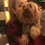 Amrita Arora Instagram – Happy 3rd my baby Axl ❤️❤️❤️❤️ Thankyou  @malaikaaroraofficial for this cutie 3 years back