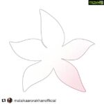 Amrita Arora Instagram – Alllll the best @malaikaarorakhanofficial and team Divayoga…Hard work pays off girl #signmeup
