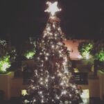 Amrita Arora Instagram - 'Tis the time to be jolly🎅🏼🎅🏼🎅🏼🎅🏼🎅🏼🎅🏼#hohoho #homehousevibe #favtimeoftheyear