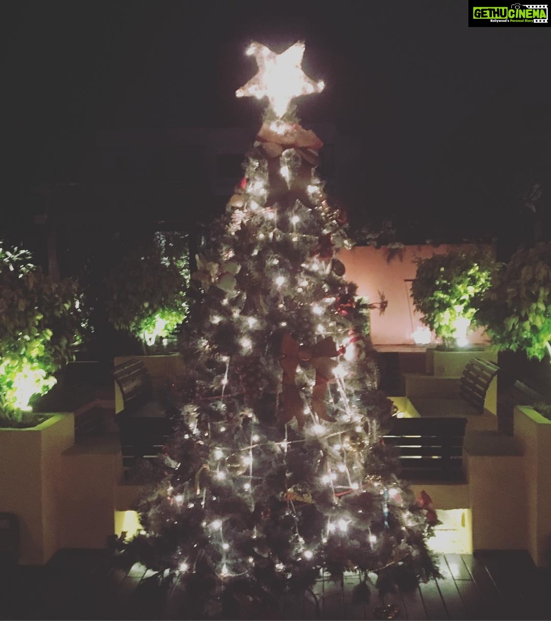 Amrita Arora Instagram - 'Tis the time to be jollyπ
πΌπ
πΌπ
πΌπ
πΌπ
πΌπ
πΌ#hohoho #homehousevibe #favtimeoftheyear