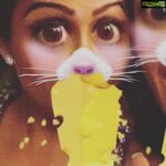 Amrita Arora Instagram - Cat who get her cheese😜🐱🧀