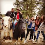 Amulya Instagram - #Friends #shimla 🤪 @jagdish_rc @nnsandesh @vidyarani.mp @swati.jan2
