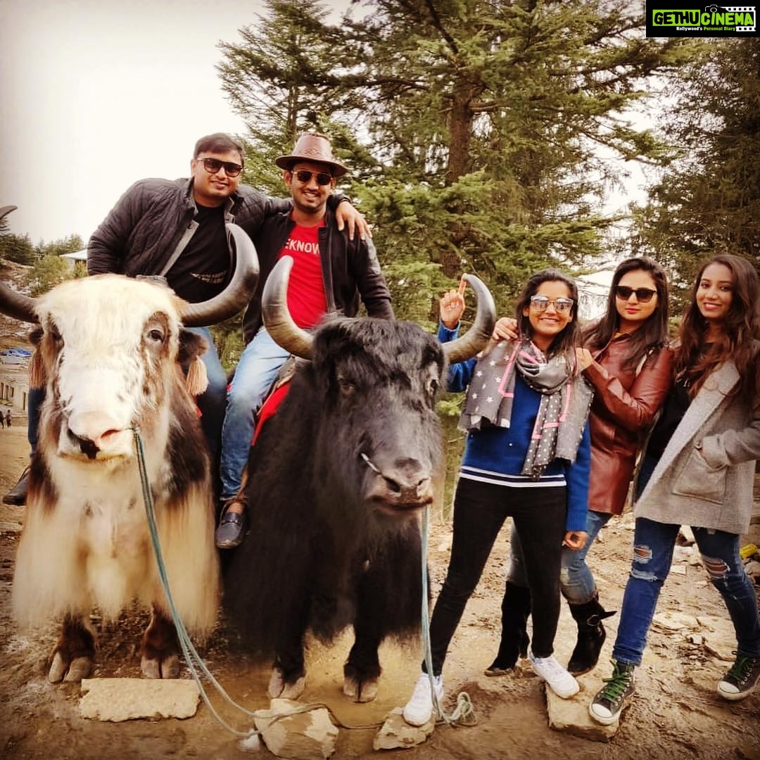 Amulya Instagram - #Friends #shimla 🤪 @jagdish_rc @nnsandesh @vidyarani.mp @swati.jan2