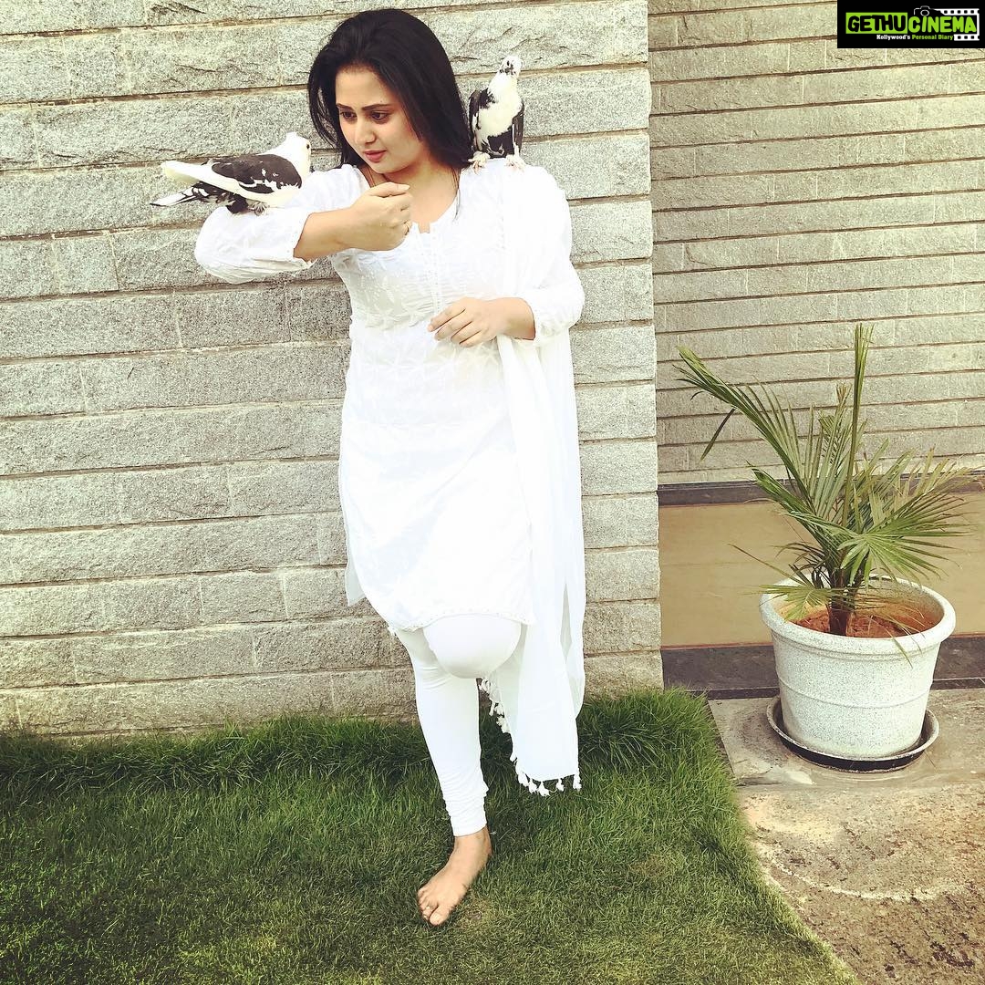 Amulya Instagram - Sometimes I wish I was a bird ,to fly high when ever I want too... n it’s summer please keep a bowl of water for birds ...#ilovebirds #white #pigeon #lovemyself ❤️ Bangaolre