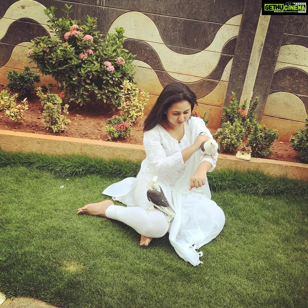 Amulya Instagram - Sometimes I wish I was a bird ,to fly high when ever I want too... n it’s summer please keep a bowl of water for birds ...#ilovebirds #white #pigeon #lovemyself ❤️ Bangaolre