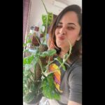 Anasuya Bharadwaj Instagram - Posing with my recent fav addition in my room!! #LoveTheViewEverytime ☘️🍃💚🧿