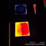 Anaswara Kumar Instagram –