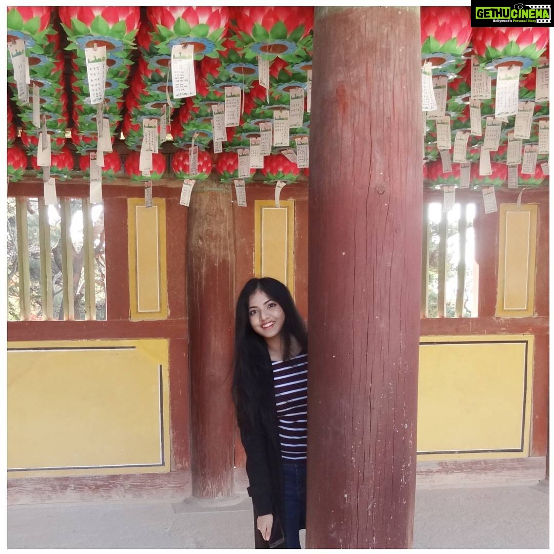 Anaswara Kumar Instagram - Oh , hey there ! 😉 . . . . . . . . . . . . . #bulguksa #불국사 #여행스타그램 #사원 #lotuslantern #wishes 慶州佛國寺 - 불국사