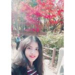Anaswara Kumar Instagram – 👋😀 🍁👸🍁
.
.
.
.
.
.
#불국사  #bulguksa #gyeongju #hithere #fallselfie #여행스타그램 慶州佛國寺 – 불국사
