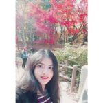 Anaswara Kumar Instagram - 👋😀 🍁👸🍁 . . . . . . #불국사 #bulguksa #gyeongju #hithere #fallselfie #여행스타그램 慶州佛國寺 - 불국사